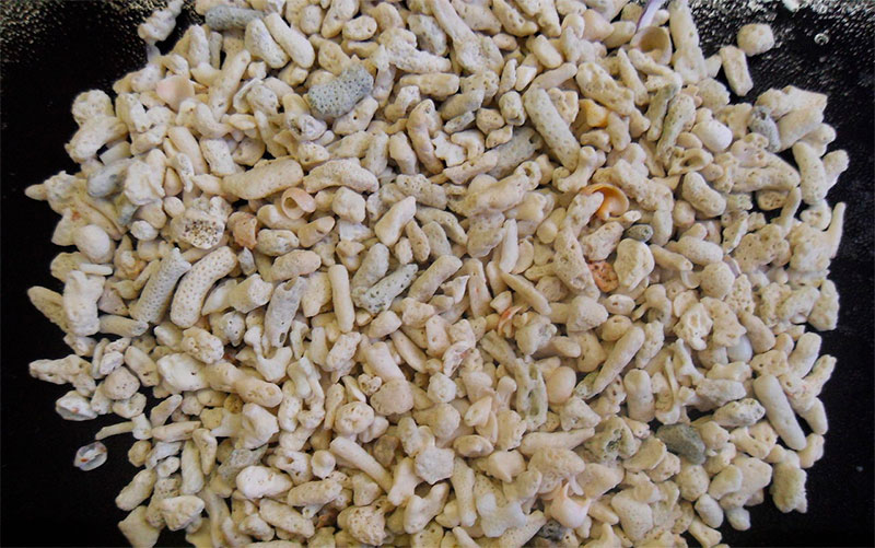 Karalovaya Kroshka