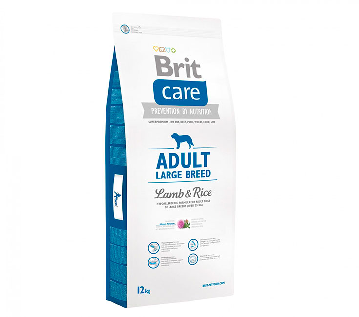 Brit Care adulte grande race