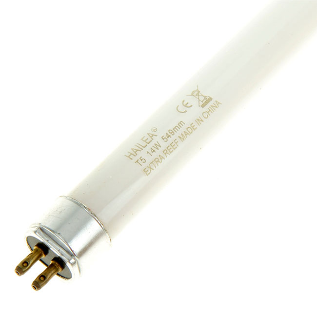Récif T5 Hailea Exstra