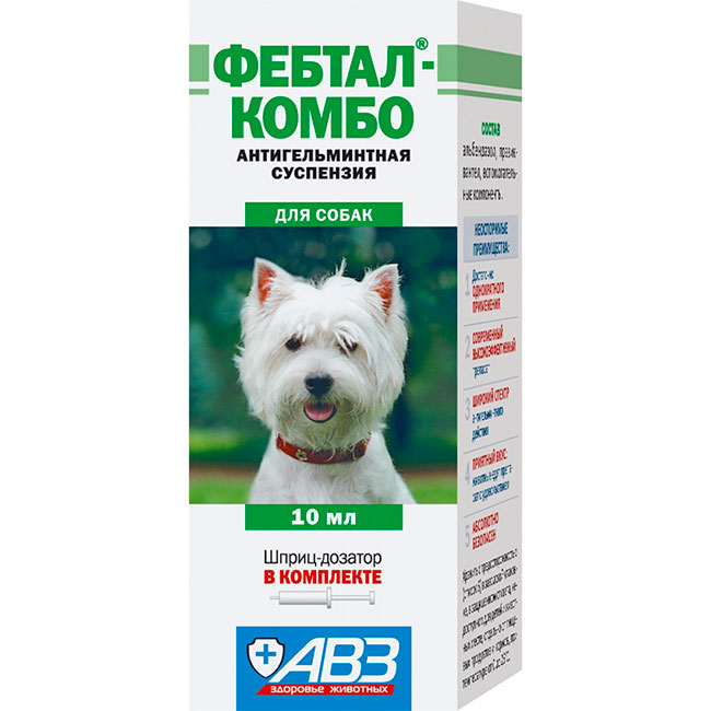 Febtal Kombo