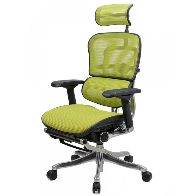 Ergohuman Plus Legrest - fauteuil de jeu confortable de Comfort Seating