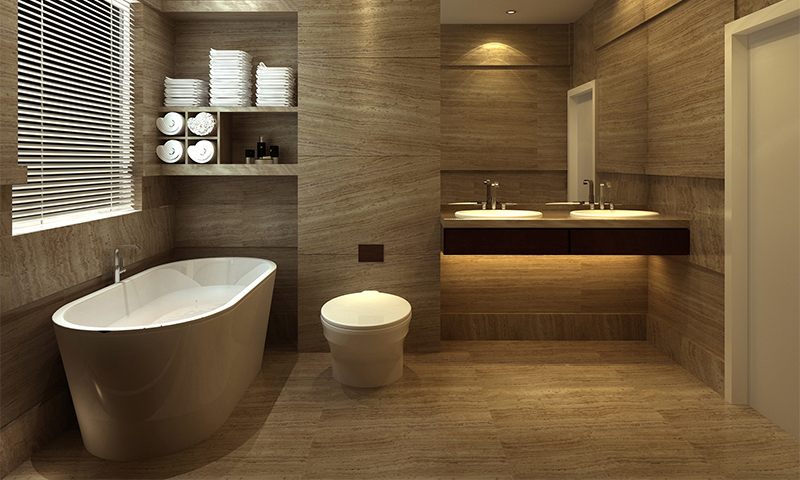 Quelle toilette choisir