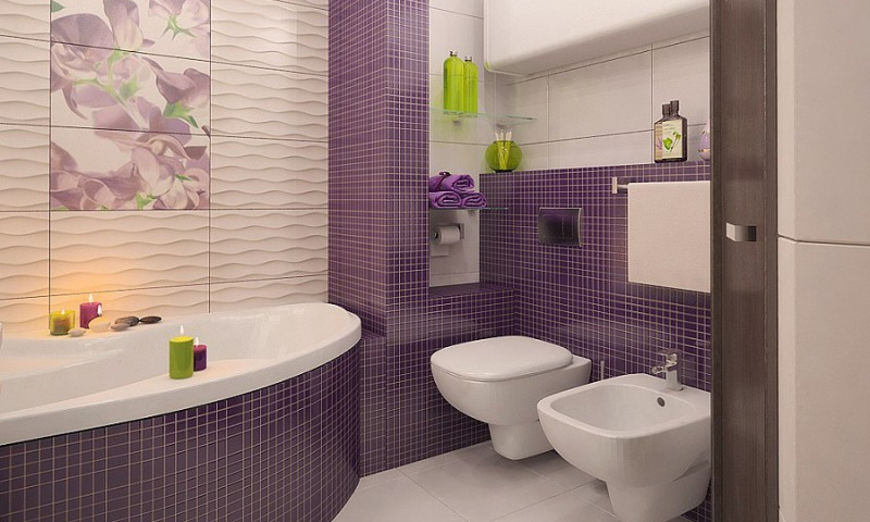 Le principe de fonctionnement et le dispositif de toilette