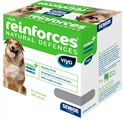 Viyo renforce son chien senior