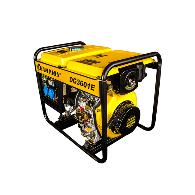 Champion DG3601E - Un an d’huile et de bougies