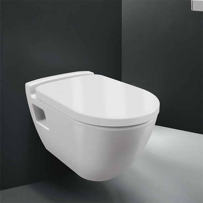 Grohe Solido 39186000 - WC mural économique et confortable avec installation