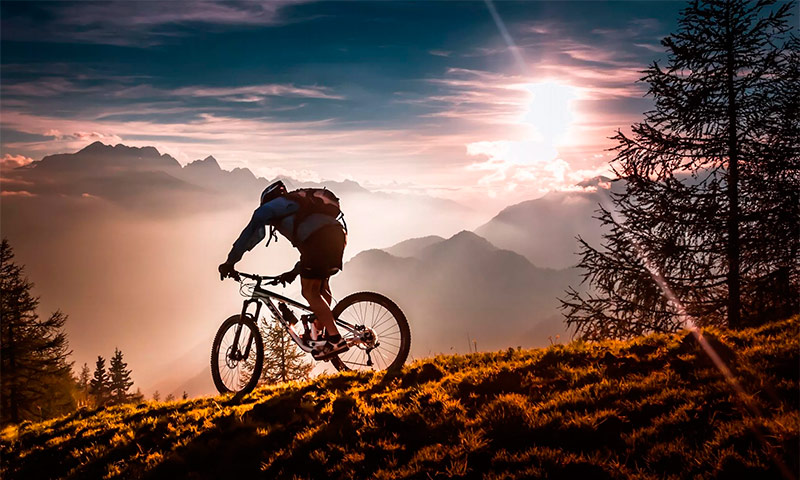 Vélos BMX