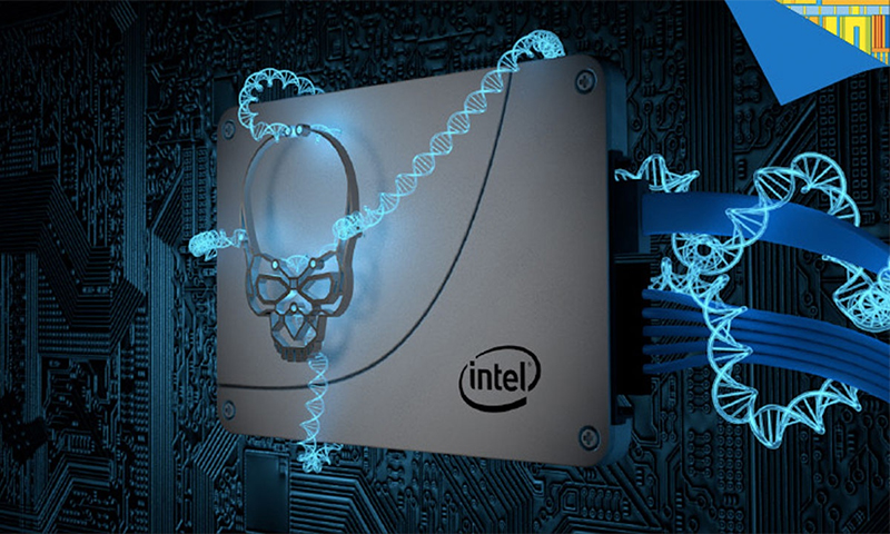 Combien coûte SSD