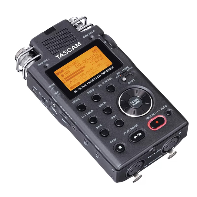 TASCAM DR-100 MKII - la capacité d’enregistrer une variété de matériel