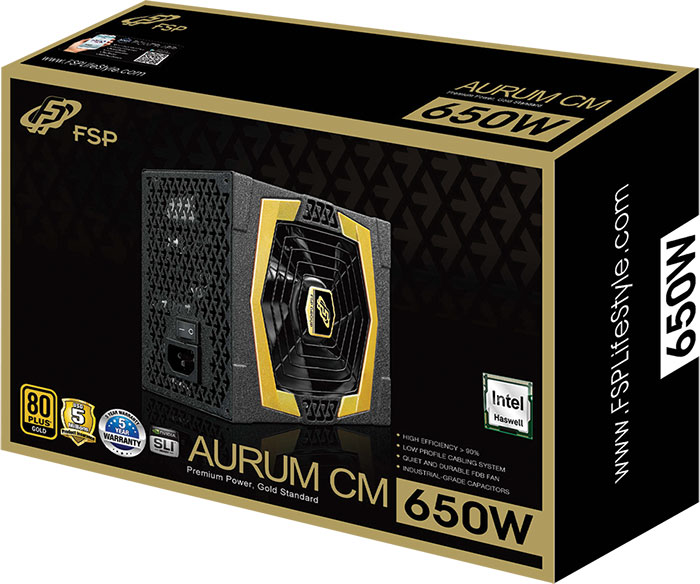 Groupe FSP AURUM CM 650W